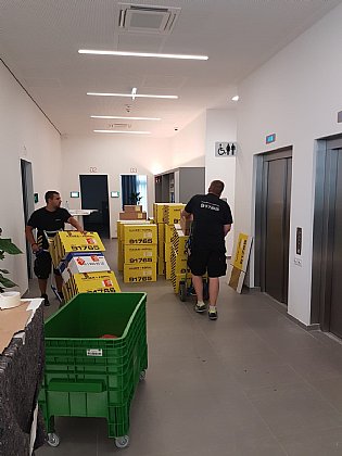 Hauer & Kopal: Ihr Experte für Ihren Umzug